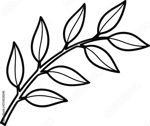Vector leafy branch botanical illustration black and white silhouette design