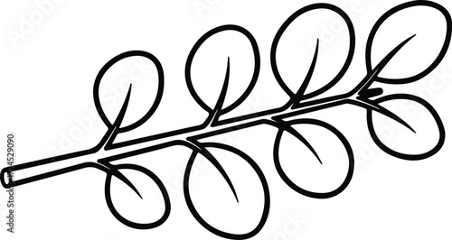 Vector Moringa branch with leaves simple black silhouette design