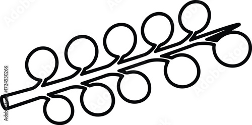 Vector rowan branch with berries isolated silhouette design