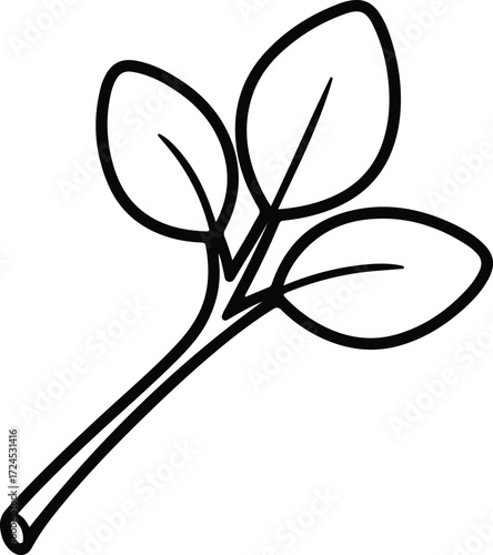 Vector Spinach seedling with three leaves single line silhouette design