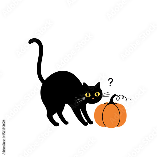 Cute black cat curiously looking at a small orange pumpkin, perfect for Halloween themes and fall illustrations