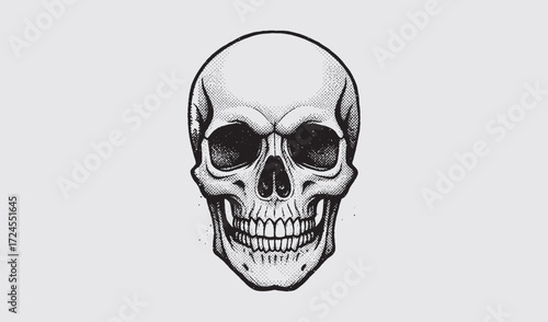 skull head.eps
