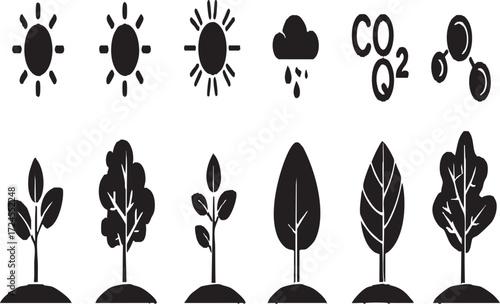 Vector art of photosynthesis process icons with sun, tree, leaf, rain and carbon dioxide isolated