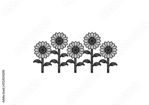 Black and white illustration of five blooming sunflowers with tall stems and broad leaves arranged in a row.
