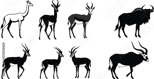 Antelope illustrations, standing poses, lying stances, horn variation, black and white design, wildlife vector, animal set, nature icon