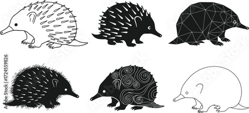 Echidna illustrations, stylized poses, cartoon character, geometric design, spiral pattern, sketch texture, vector animal set, creative variation