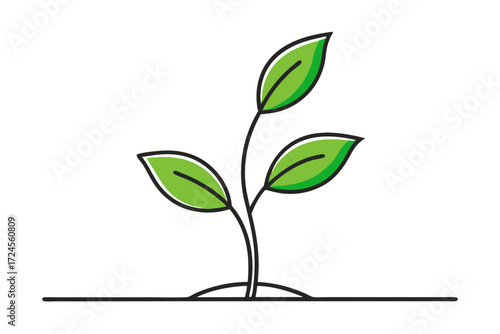 green plant with leaves