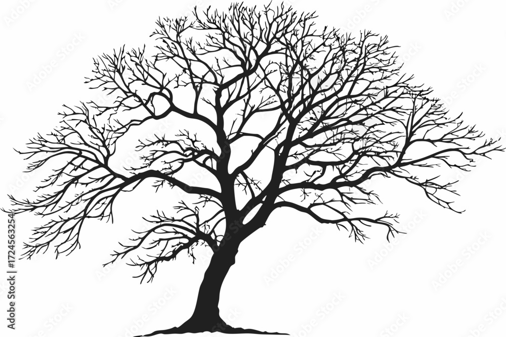 Obraz premium black and white leafless tree