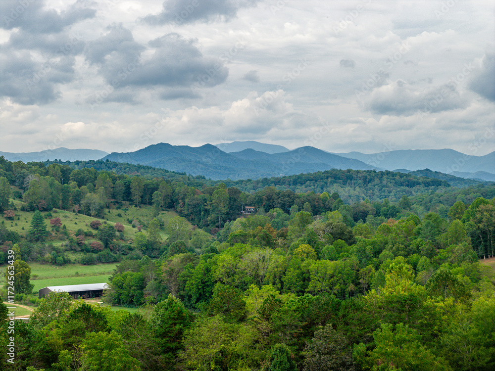 Fototapeta premium default