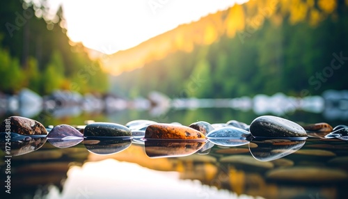 Calm stones reflecting in clear water, sunlit forest