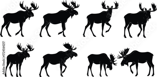 Moose silhouettes, antlered poses, wildlife interaction, standing stance, walking motion, combat behavior, vector animal set, black design