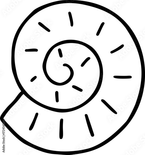 Black and white outline of a spiral seashell with radiating lines