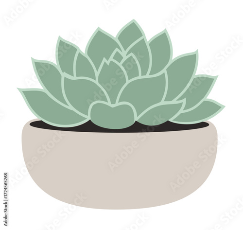 A green succulent plant in a beige bowl-shaped pot, for gardening, home decor, and plant-themed design