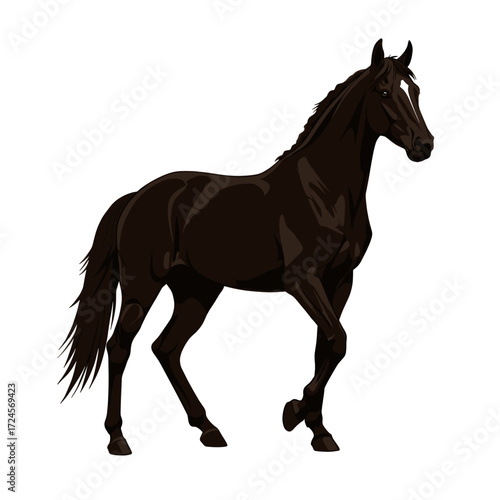 horse silhouette isolated on white