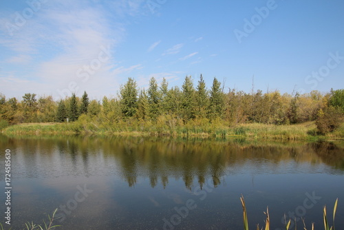 lake in the forest