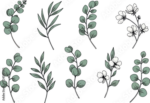 Elegant botanical illustration of various leaves and floral elements.