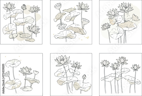 Elegant Water Lilies Botanical Illustration Delicate Artistic Floral Design.