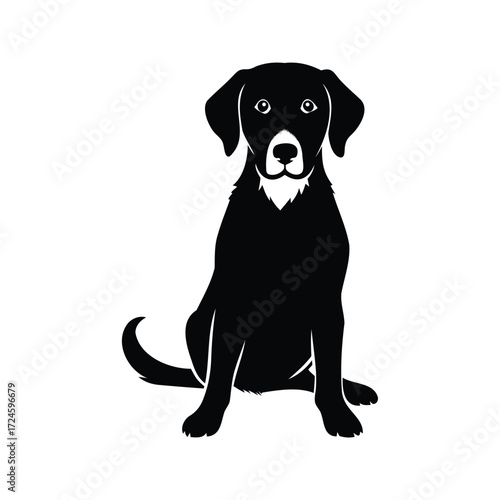 Black silhouette illustration of a well behaved labrador dog sitting patiently, dogs silhouette vector illustration