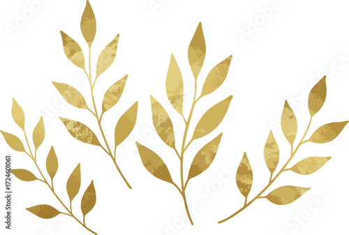Golden leaves branches illustration on white background for design.