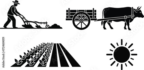 Farmer plowing field with oxen cart and growing crops under sun