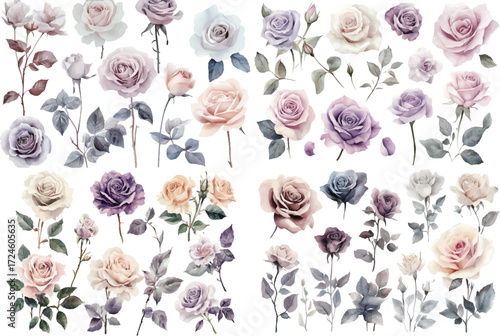 Collection of delicate watercolor roses in various pastel hues and grayscale tones for artistic design vector