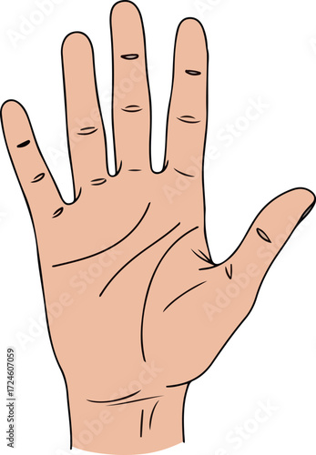 Human hand with five fingers extended showing palm and skin details.