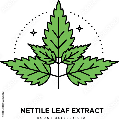 Nettle Leaf Extract Illustration Depicting Herbal Remedy and Botanical Essence.