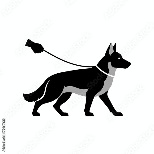 Dog being walked on leash by hand in simple vector design  