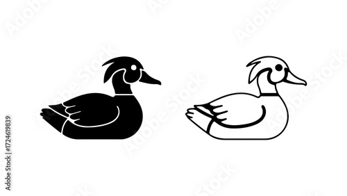 Two Ducks One Solid Black Silhouette Other Outline.