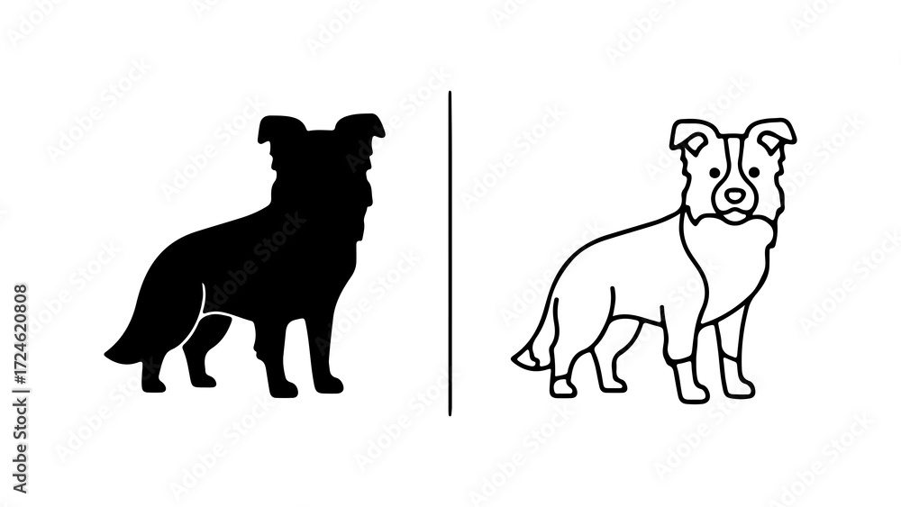 Naklejka premium Two Illustrations of a Border Collie Dog.
