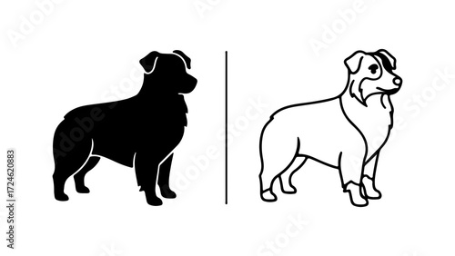 Two Illustrations of an Australian Shepherd Dog.