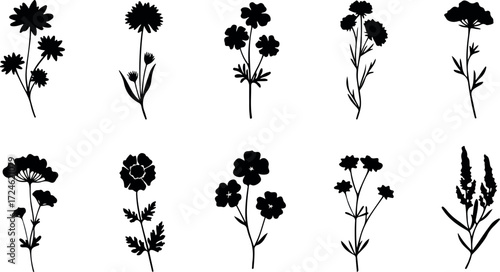 Silhouette collection of various delicate floral stems and blossoms in black and white.