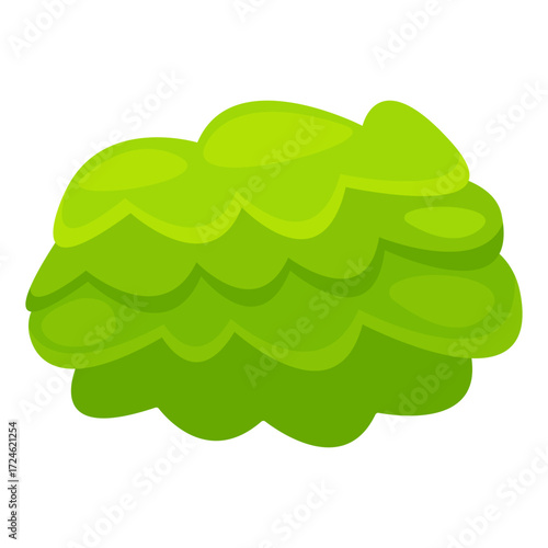 Vibrant green shrubbery showcasing lush foliage against a plain white background