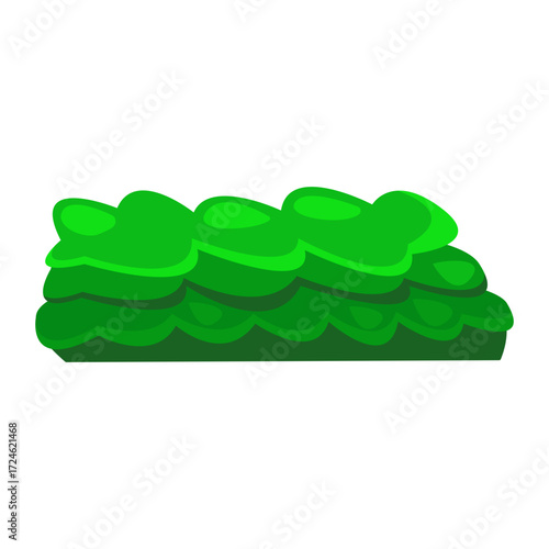 Vibrant green abstract foliage resting on a reflective surface with a minimalist background