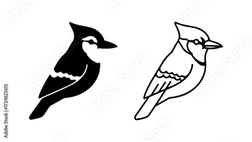 Two stylized blue jay illustrations one black silhouette one line drawing side view detailed.