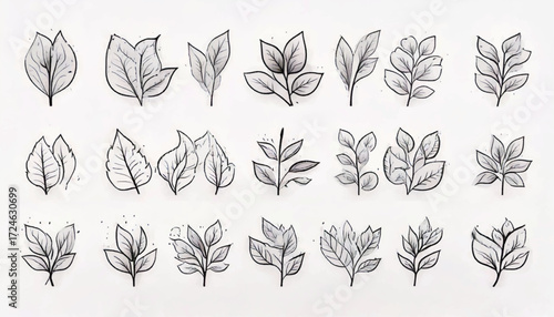 A collection of various hand-drawn leaf and branch sketches arranged in rows on a white background.