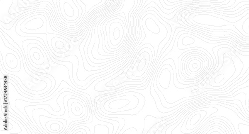 Topography and geography map grid abstract backdrop. Business concept. Fish Fillet Texture, Salmon fillet texture, fish pattern. paper texture.
