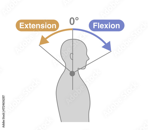 Cervical Spine and Neck Range of Motion (ROM) Illustration