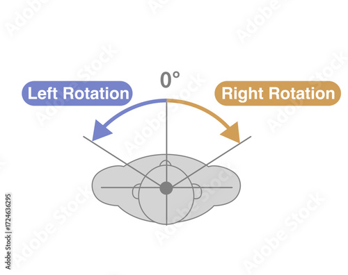 Cervical Spine and Neck Range of Motion (ROM) Illustration