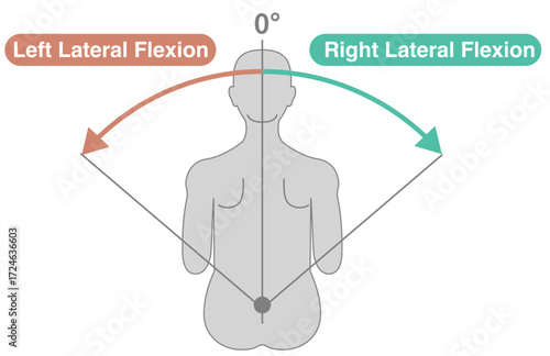 Thoracolumbar Spine and Trunk Range of Motion (ROM) Illustration