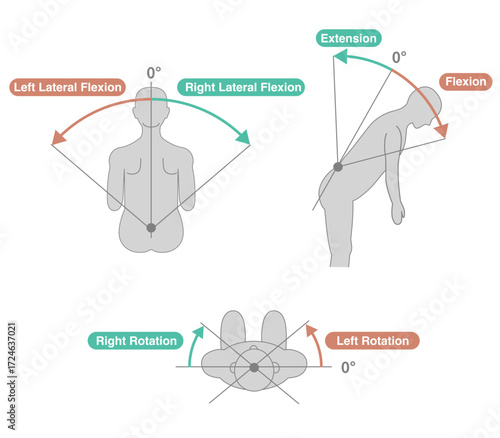 Thoracolumbar Spine and Trunk Range of Motion (ROM) Illustration