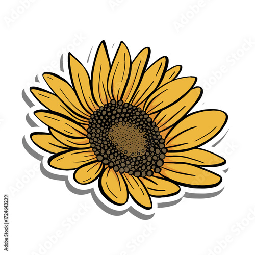 Black line sunflower. Yellow Sunflower Blooming on white silhouette and gray shadow. Vector illustration for decorate logo, text, greeting cards and any design.