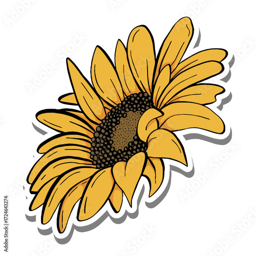 Black line sunflower. Yellow petals and brown seeds on white silhouette and gray shadow. Vector illustration for decorate logo, text, greeting cards and any design.
