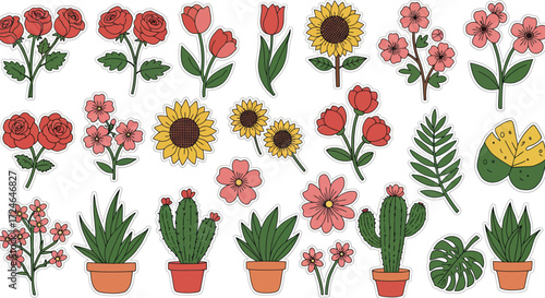 Various flowers and plants Hand drawn style Colorful botanical elements Spring garden