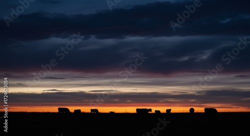 Silhouette of cattle at dusk