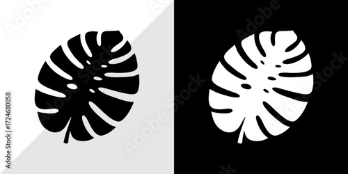 black and white butterfly