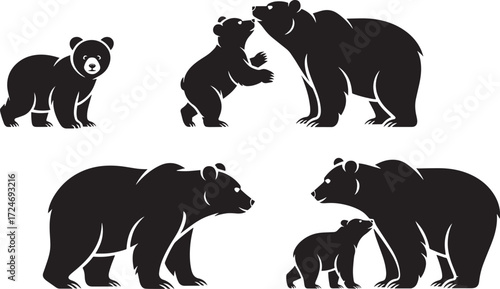 Baby bear, adult bear, couple bears and bear with cub vector illustration set