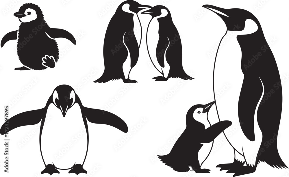 Fototapeta premium Penguin set silhouette, polar bird icons, Antarctic animal collection, flightless fowl