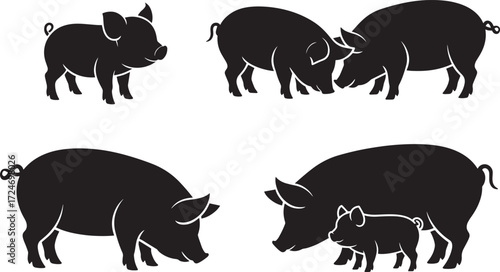 Pig Silhouettes Collection Isolated on Transparent Background for Design Projects