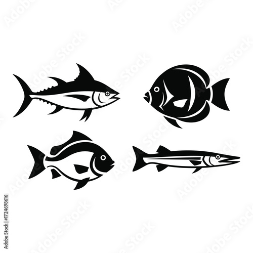 Four diverse silhouettes of marine life tuna angelfish barracuda and common fish